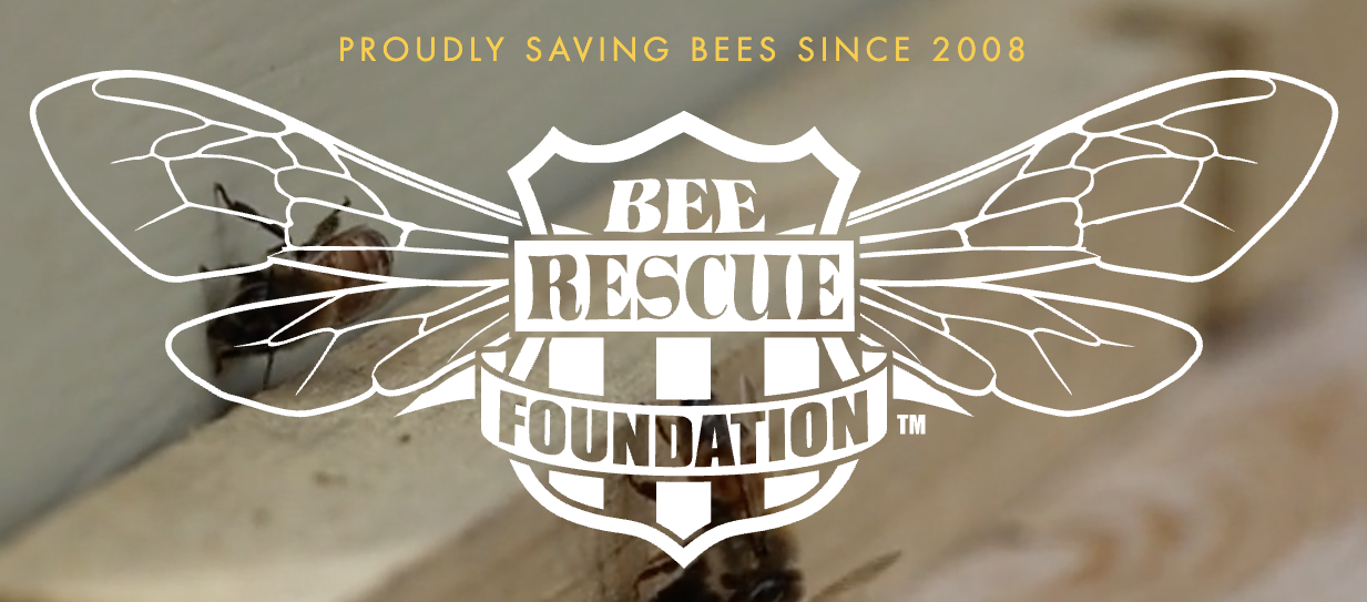 Bee Rescue Foundation